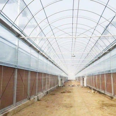 霍州養(yǎng)殖大棚