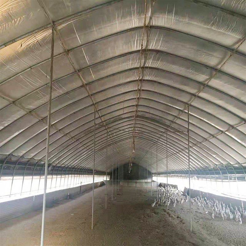 霍州養(yǎng)殖大棚