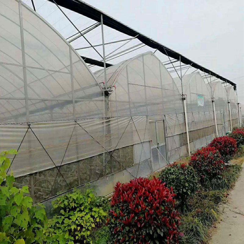 滄州溫室工程