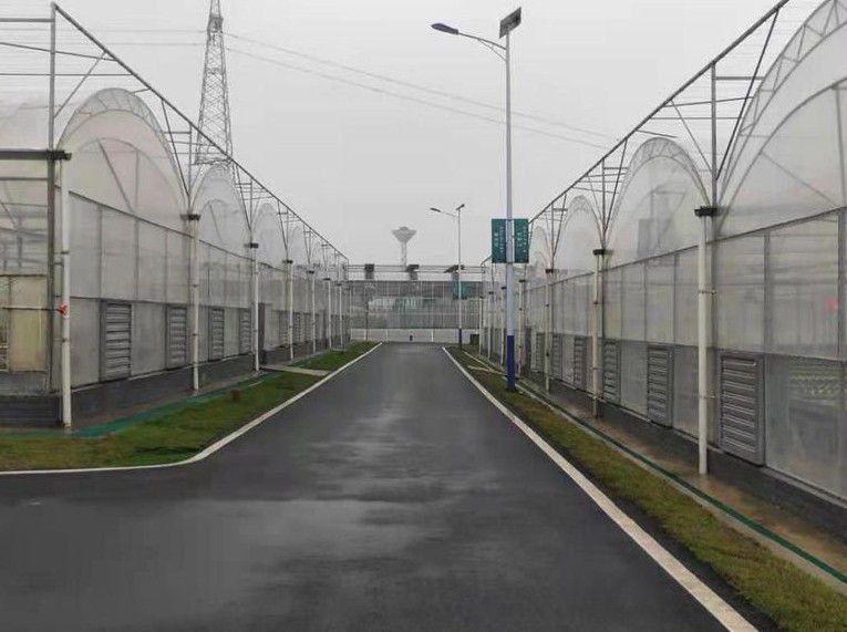 霍州連棟溫室大棚