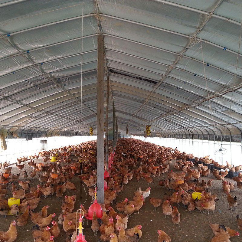 霍州養(yǎng)殖大棚