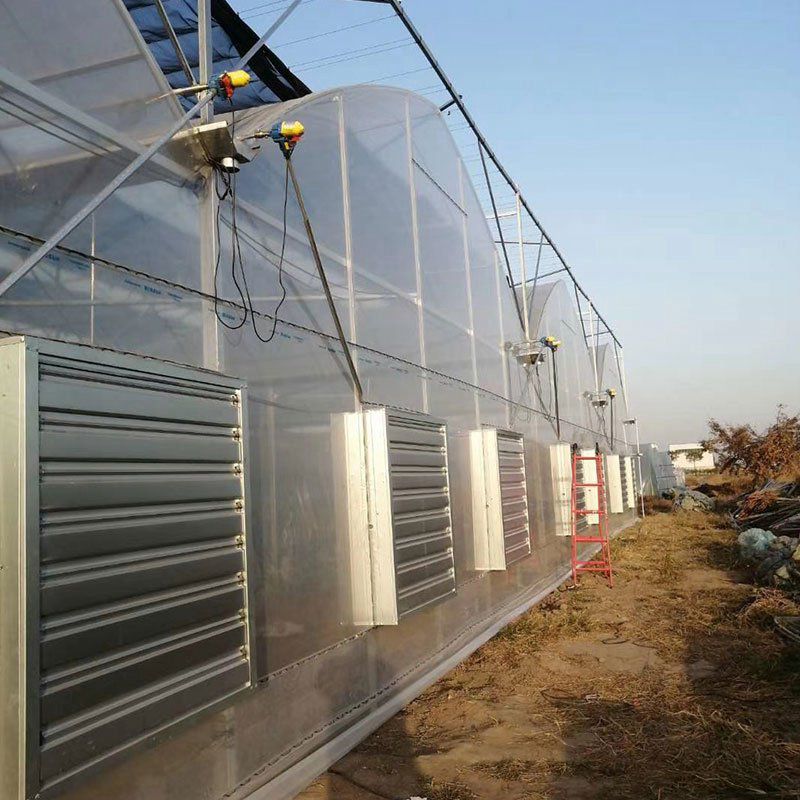 滄州溫室工程
