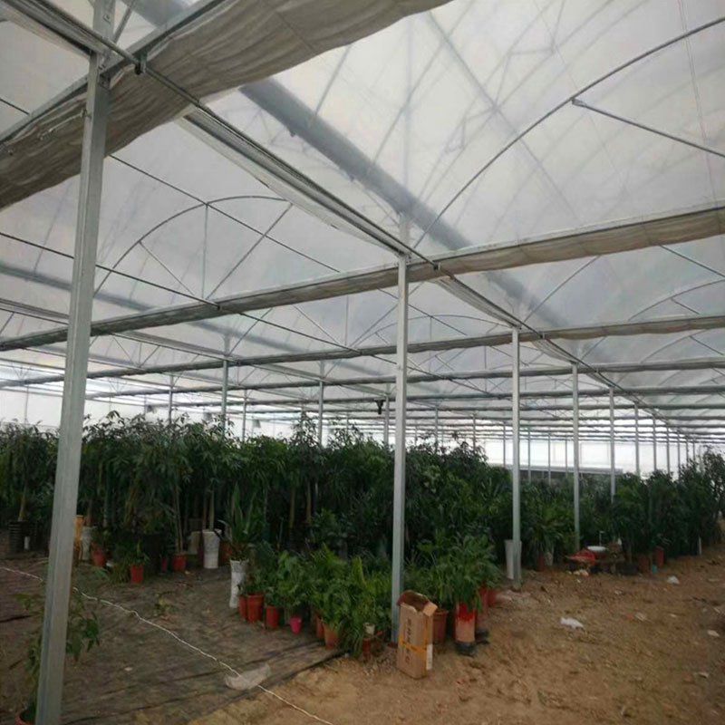 漢川溫室大棚