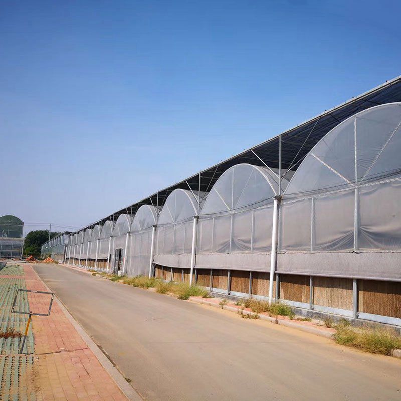滄州溫室工程