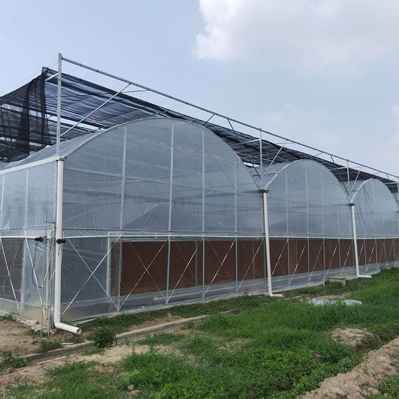滄州溫室工程