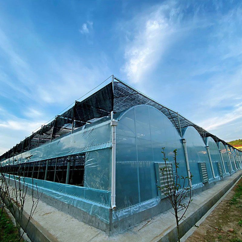 霍州外遮陽(yáng)大棚