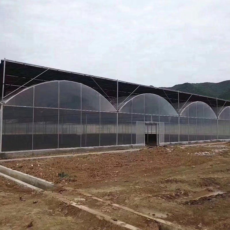 外遮陽(yáng)連棟大棚