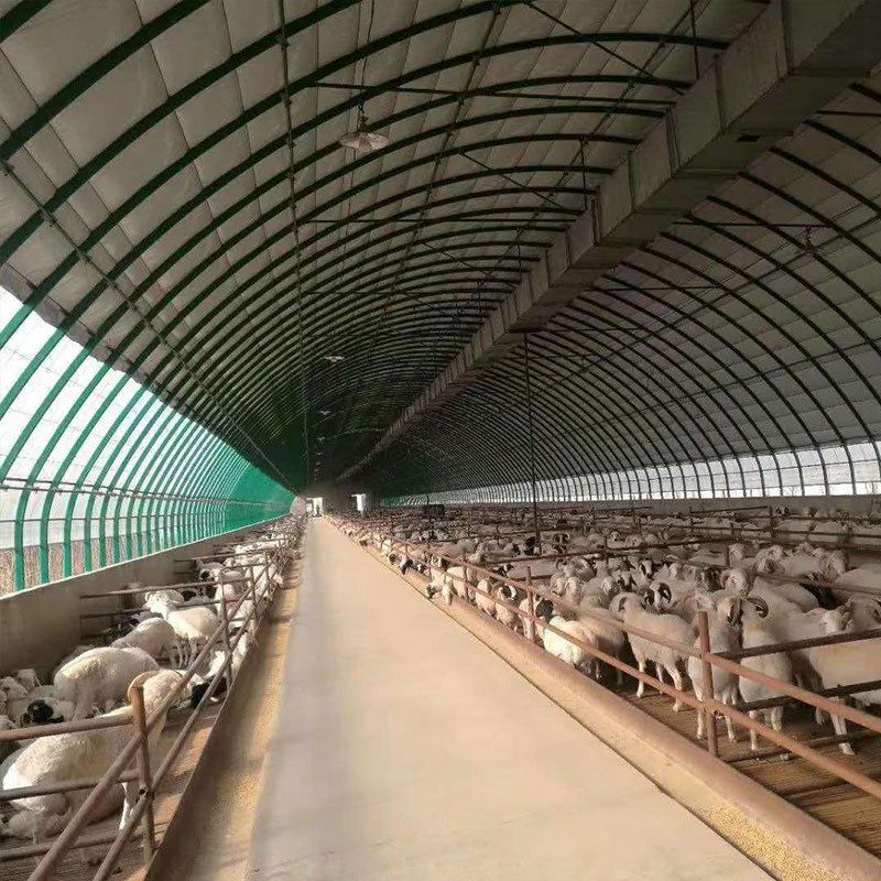 霍州養(yǎng)殖大棚