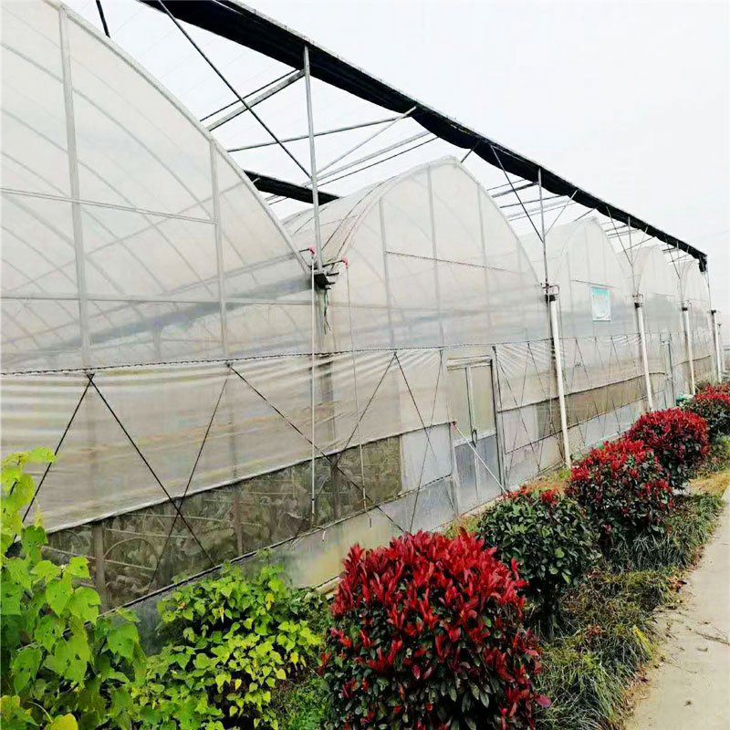 霍州花卉大棚