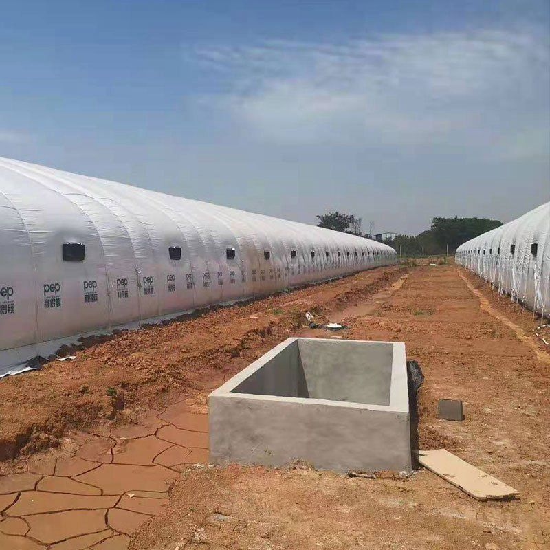 霍州養(yǎng)殖大棚