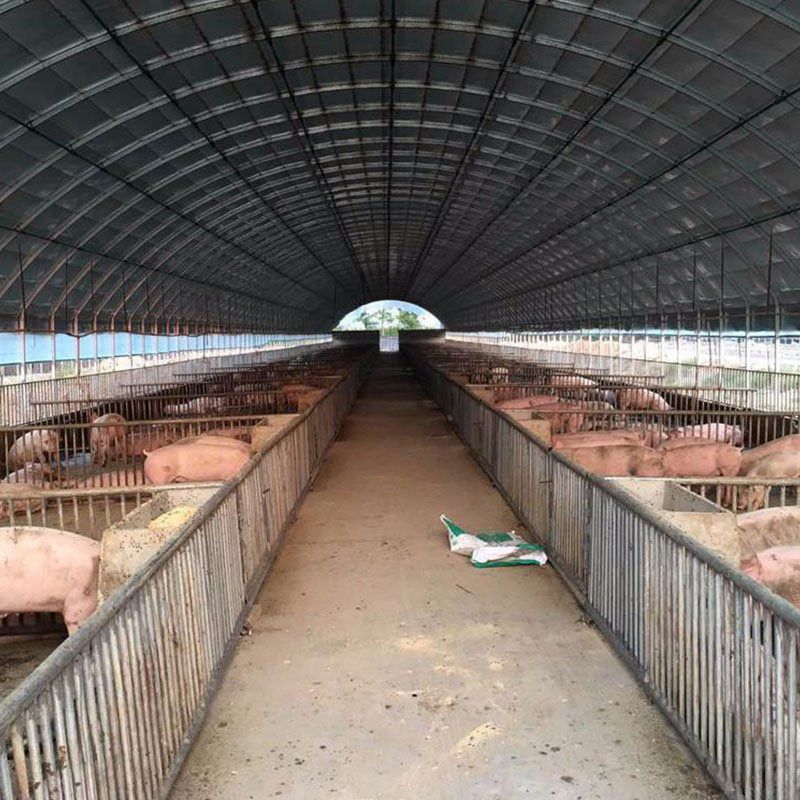 霍州養(yǎng)殖大棚